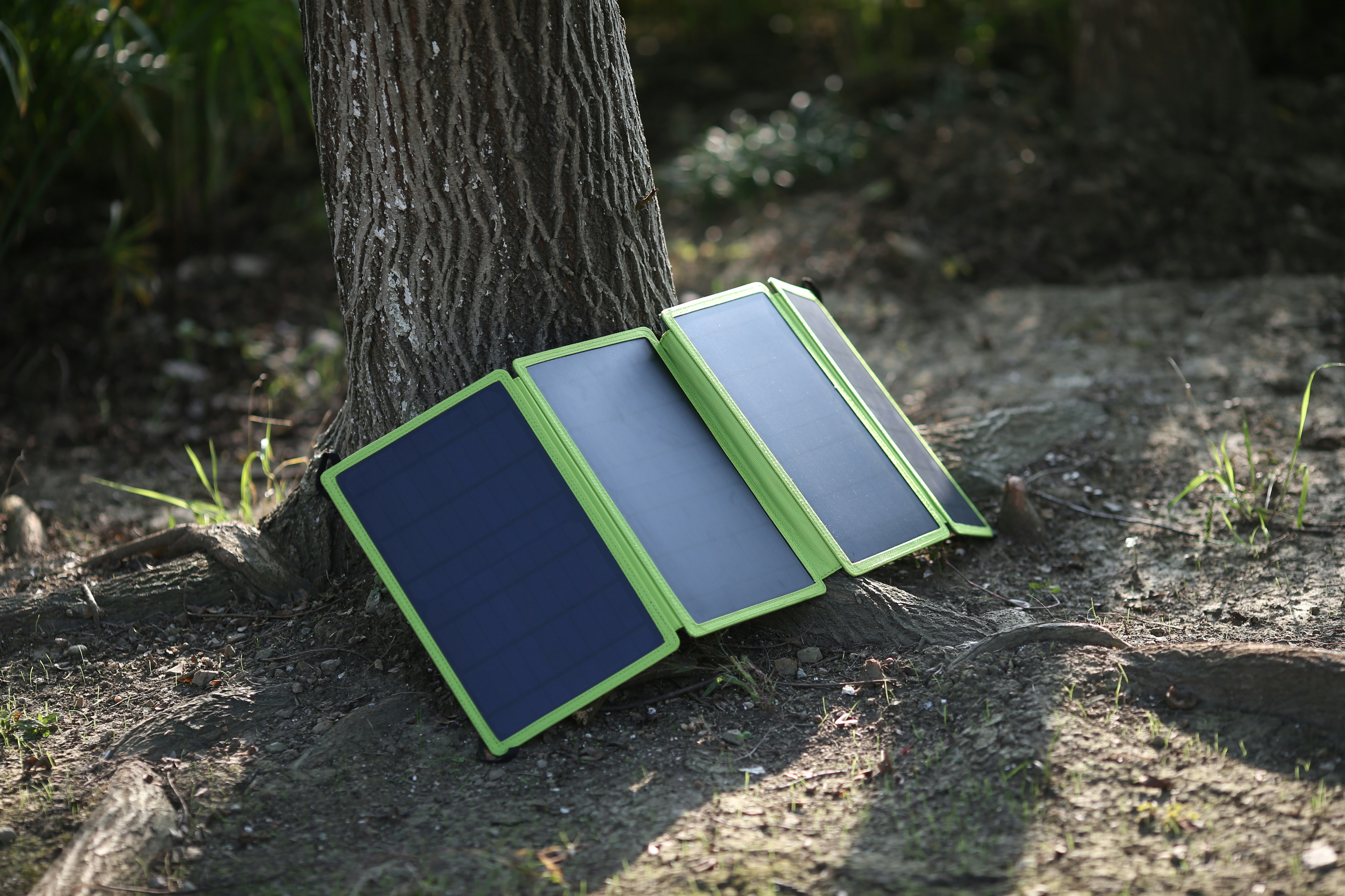 Free solar quotes Florida